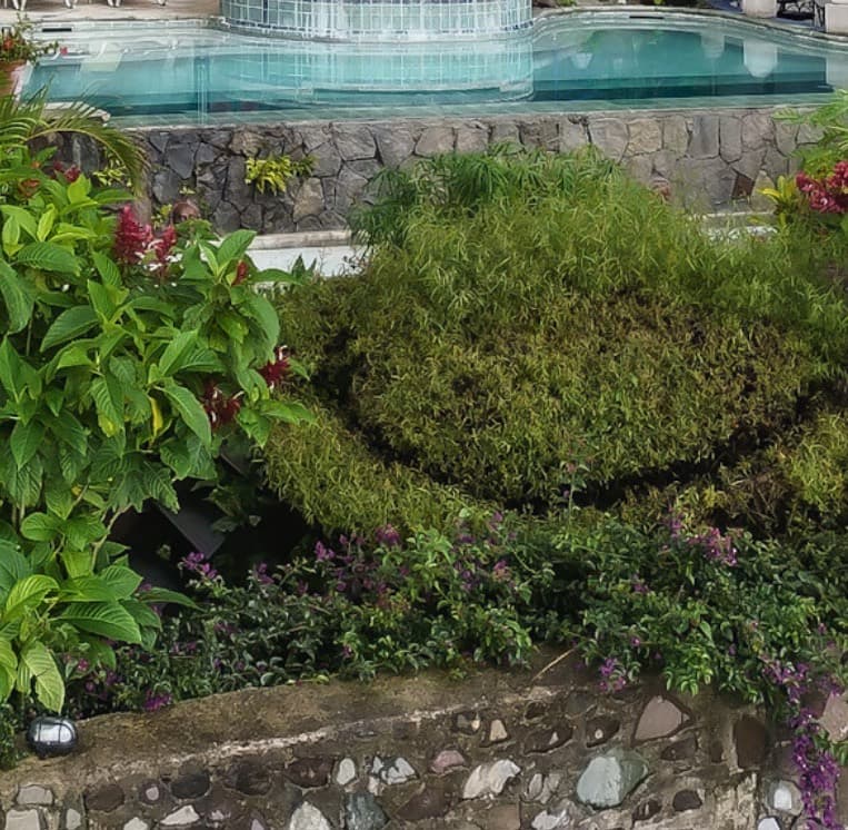 The infinity pool, jacuzzi and common areas 6